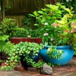 🌿 Descubre las mejores plantas de bajo mantenimiento para exterior: ¡Embellece tu jardín sin complicaciones!