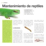 🦖💡 Descubre los mejores consejos de mantenimiento saurio para tener a tus reptiles en su mejor estado